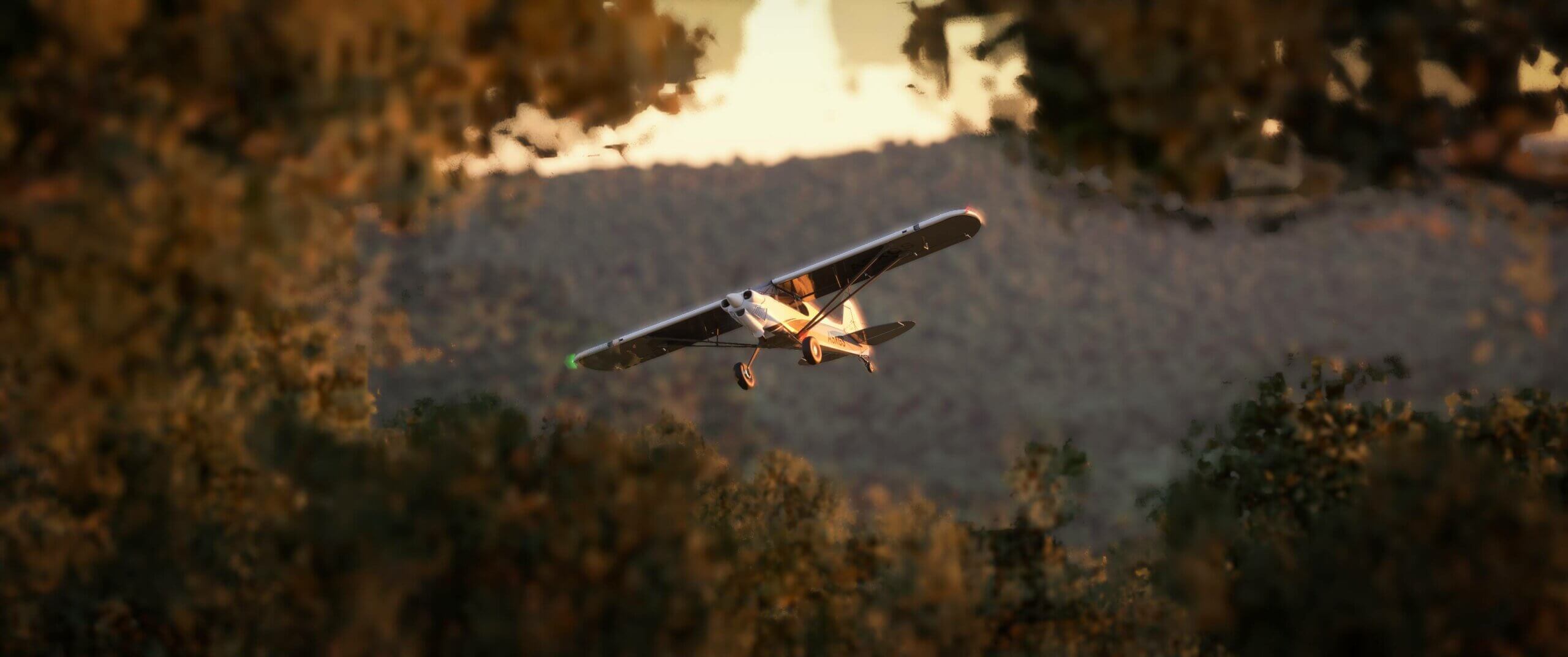 An Xcub visible through a break in trees