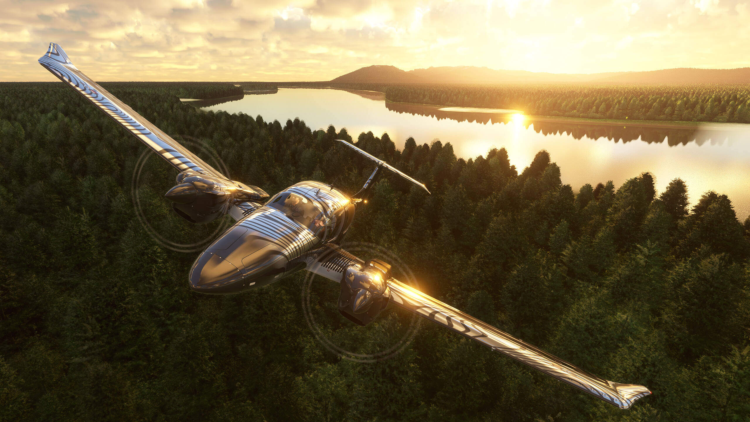 Plane flying over temperate forest